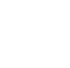 budget_icon